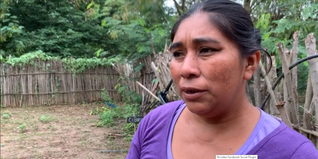 Voces del Chaco