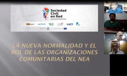 Las organizaciones del NEA reflexionan sobre su rol en «la nueva normalidad»